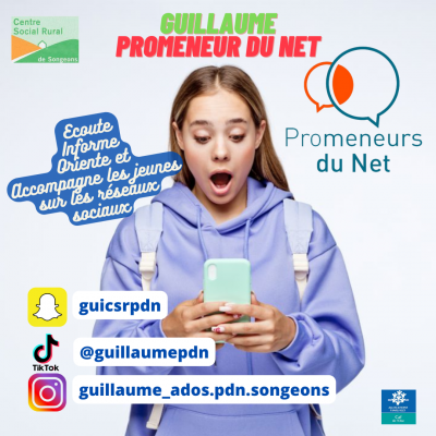 Affiche promeneur du net