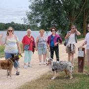 Petite marche 1 