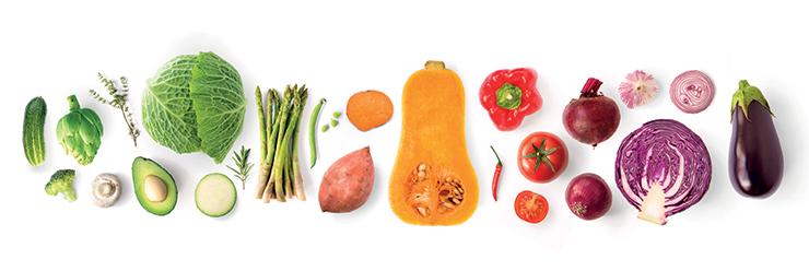 Bandeau legume
